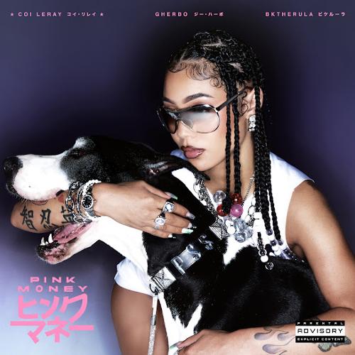 Stream and Download Mixtapes - Coi Leray - Pink Money