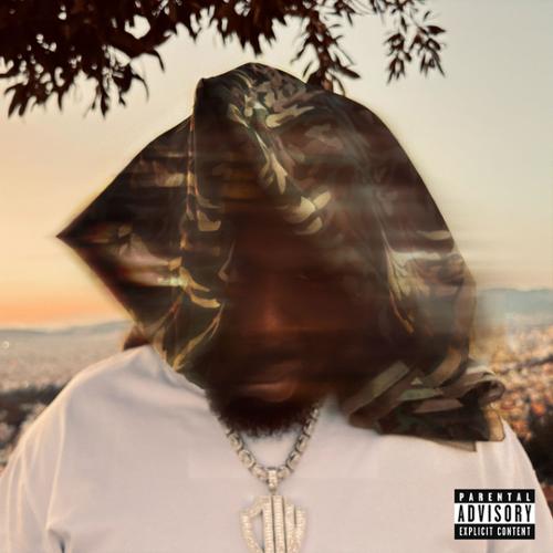Stream and Download Mixtapes - Conway The Machine - What Has Been